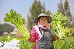 习总来到北大荒精准农业农机中